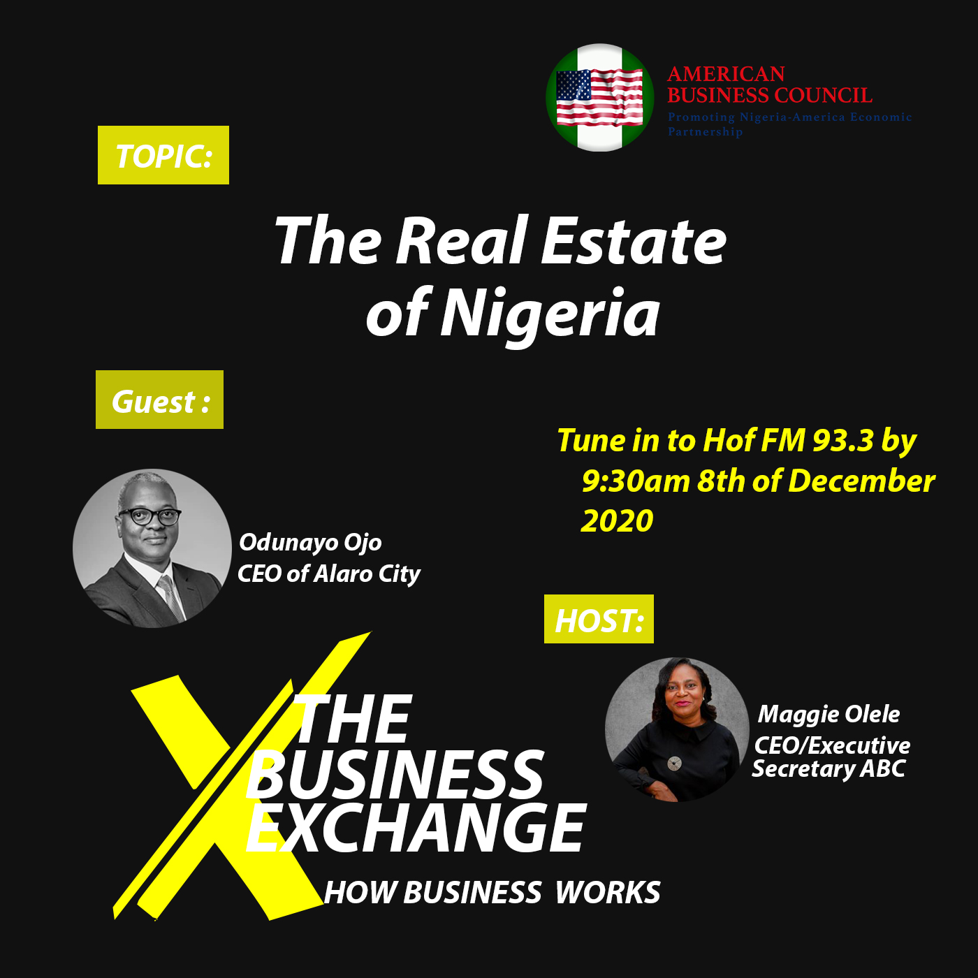 real estate business plan in nigeria pdf